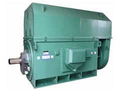 清水河Y系列6KV高压电机
